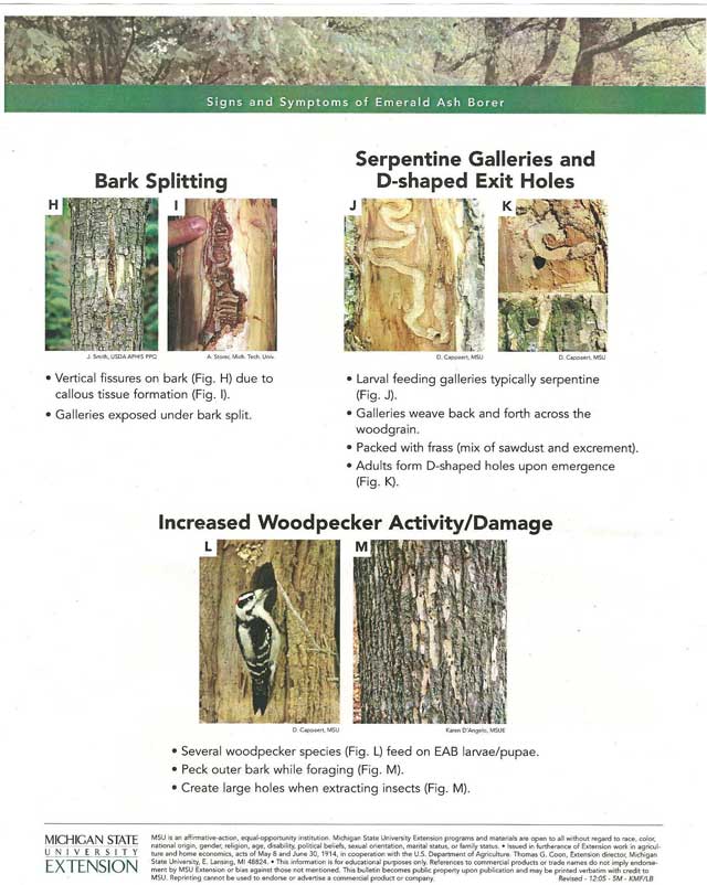 EAB Informational Pictures