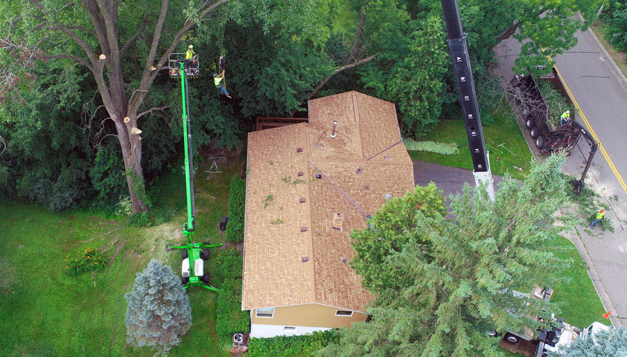 Tree Removal with Crane in Minnesota
